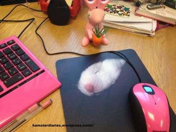 Casper on my mousemat